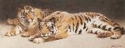 John Charles Dollman Two Wild Tigers Spain oil painting artist